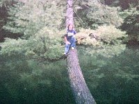 photos 2000-200901344